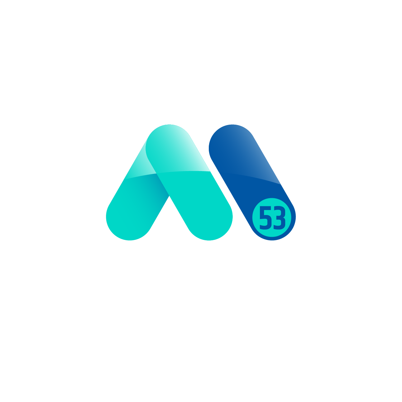 AM53 Tech Recruitment